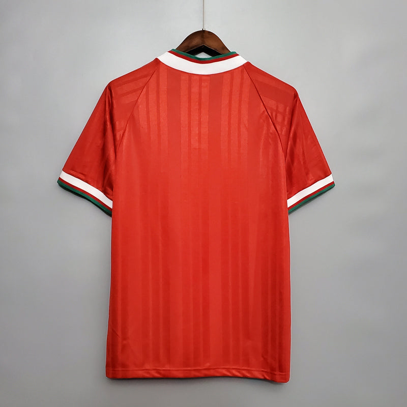 LIVERPOOL I 93/95 FAN (RETRO)