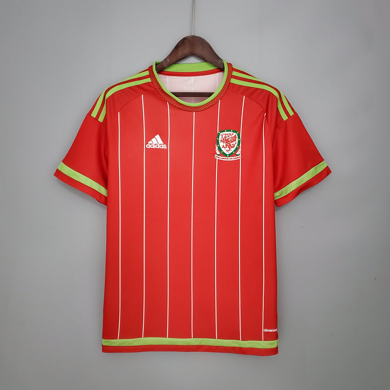 PAÍS DE GALES I 2015 FAN (RETRO)