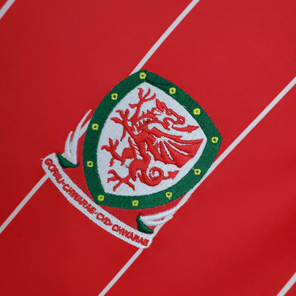 WALES | 2015 MAN (RETRO) 