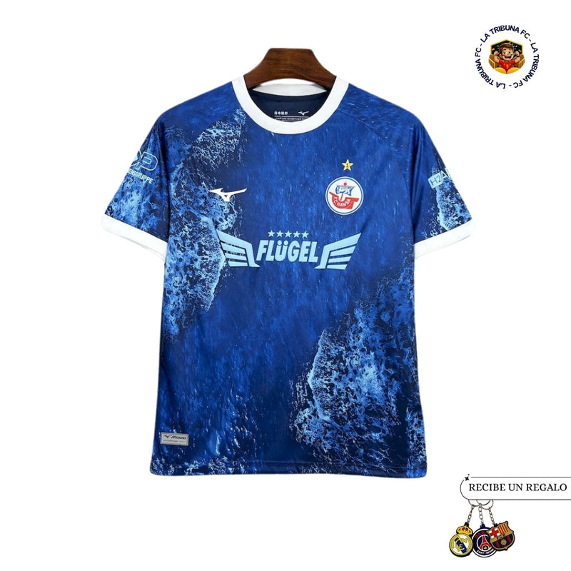 HANSA ROSTOCK SPECIAL EDITION 25/26 FAN
